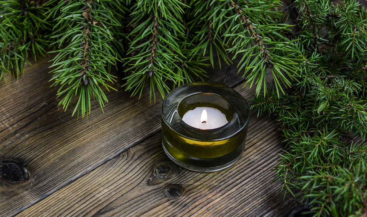 image of pine candle